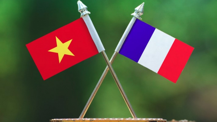 Milestone in further promoting Vietnam-France relations over five decades